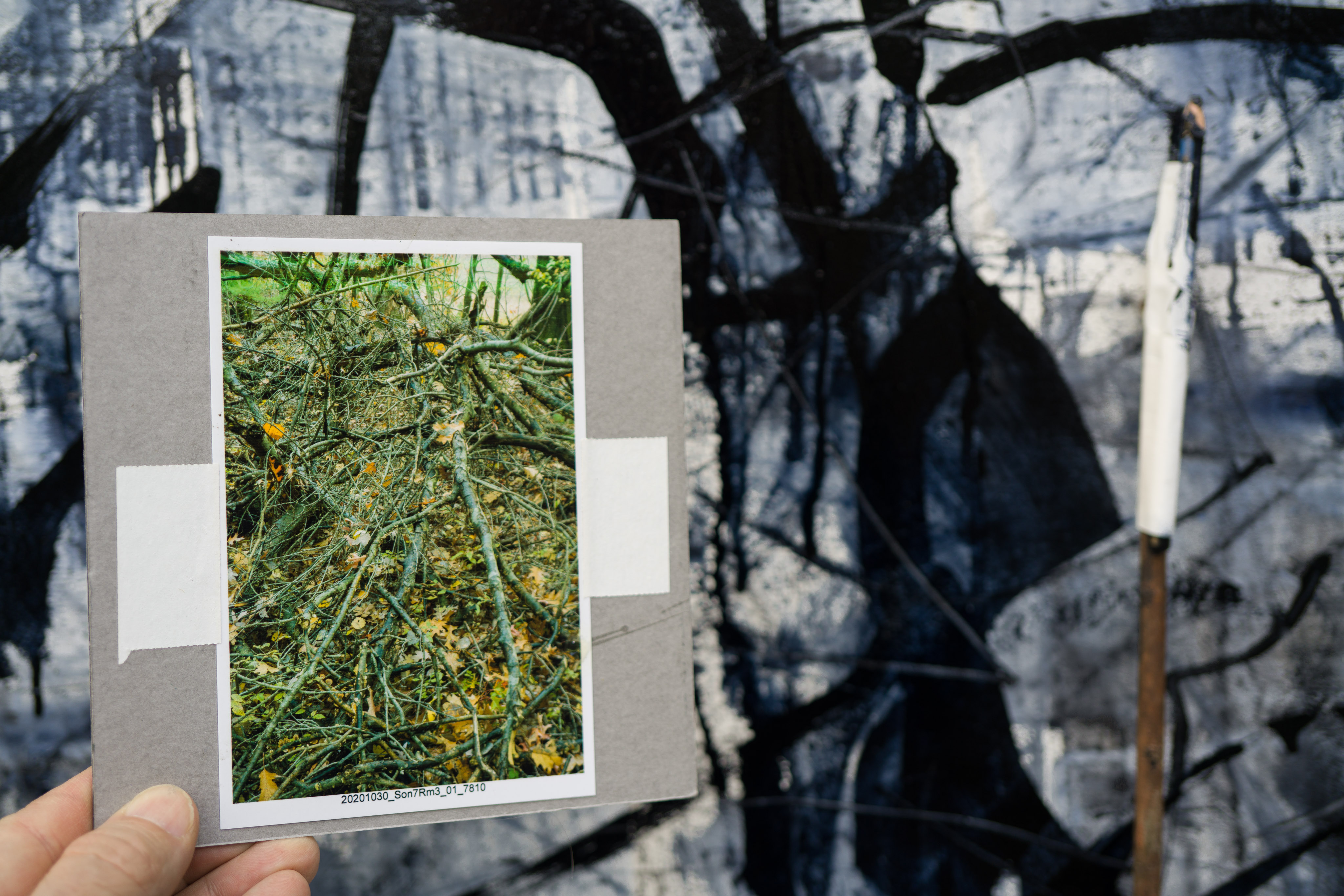 Study print of a mouldering oak used as source material for the black drawing